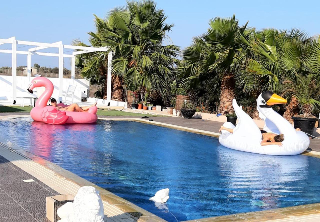 The Pervoli Studio - Pool - Close To Beach Larnaca Esterno foto